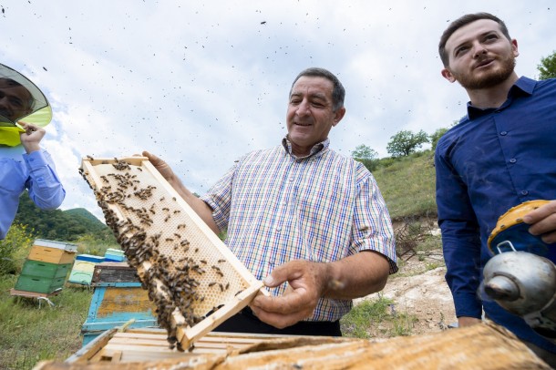 Kəlbəcər yaylaqlarına daha 2500 arı ailəsinin köçürülməsinə başlanılıb - FOTO